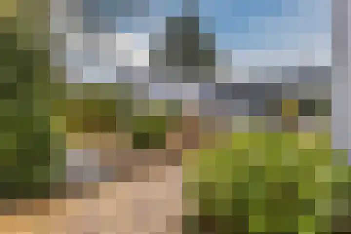 Stelt 21 Eersel thumbnail 4