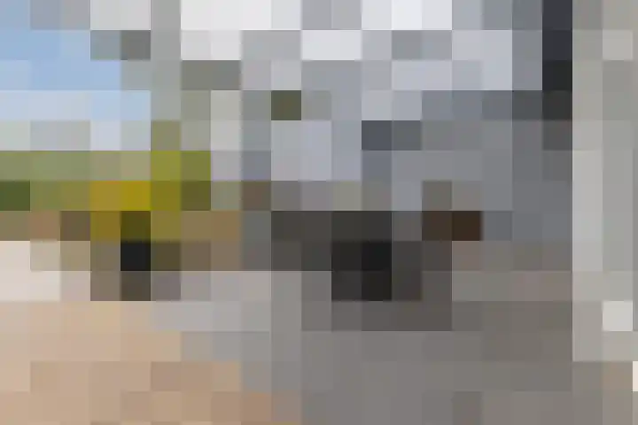 Stelt 21 Eersel thumbnail 42