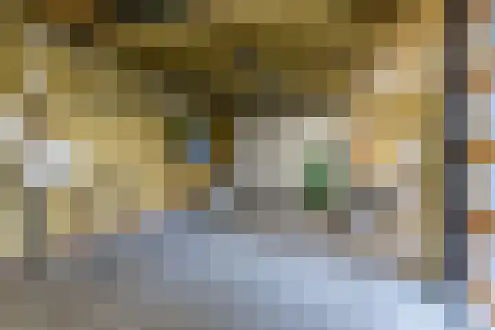 Stelt 21 Eersel thumbnail 44