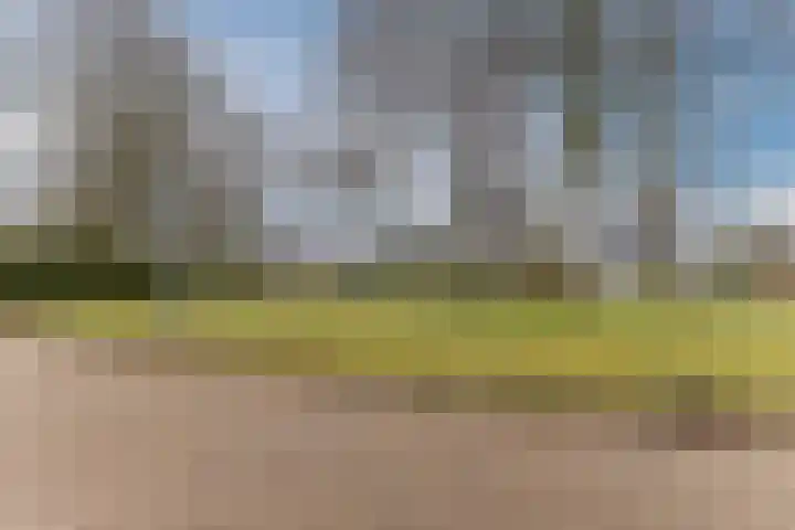 Stelt 21 Eersel thumbnail 47