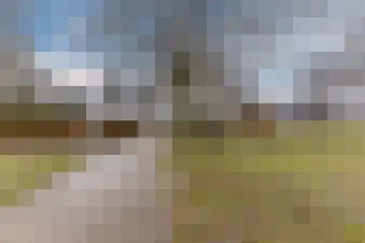 Stelt 21 Eersel thumbnail 48