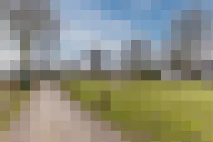 Stelt 21 Eersel thumbnail 49