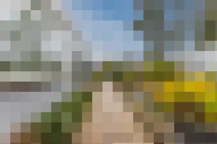 Stelt 21 Eersel thumbnail 5