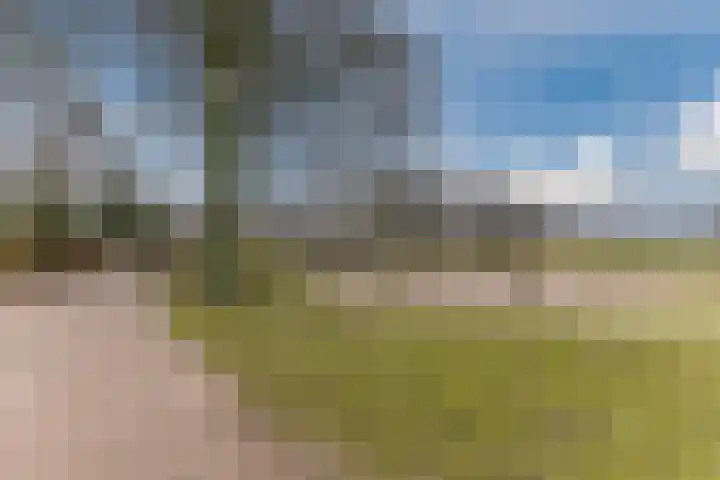 Stelt 21 Eersel thumbnail 50