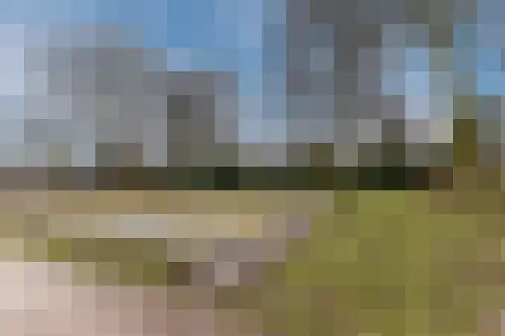 Stelt 21 Eersel thumbnail 51