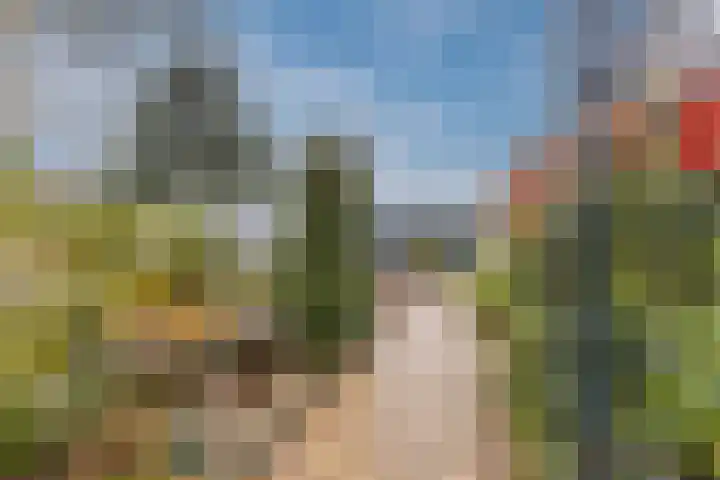Stelt 21 Eersel thumbnail 7