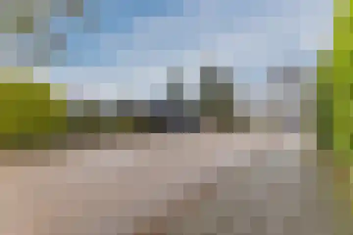 Stelt 21 Eersel thumbnail 8