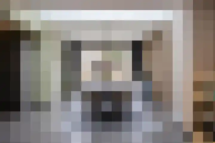 Steltlopen 24 Best thumbnail 20