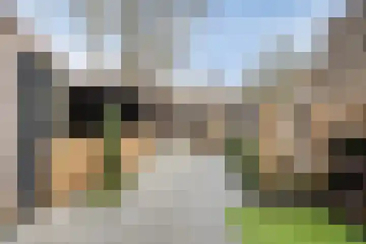 Steltlopen 24 Best thumbnail 25