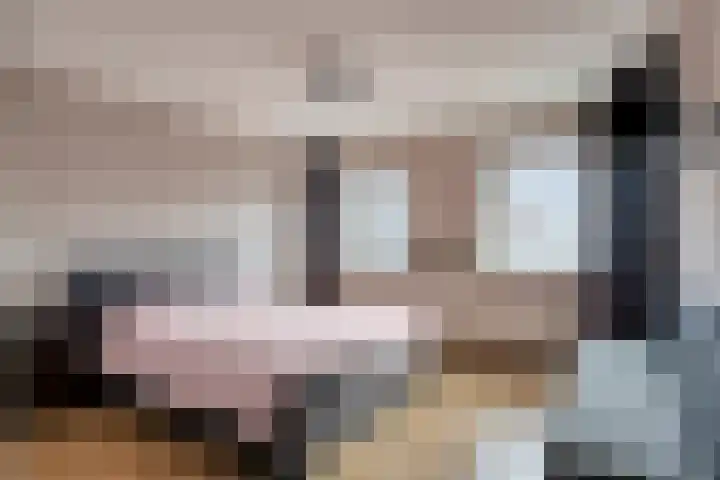 Steltlopen 24 Best thumbnail 34