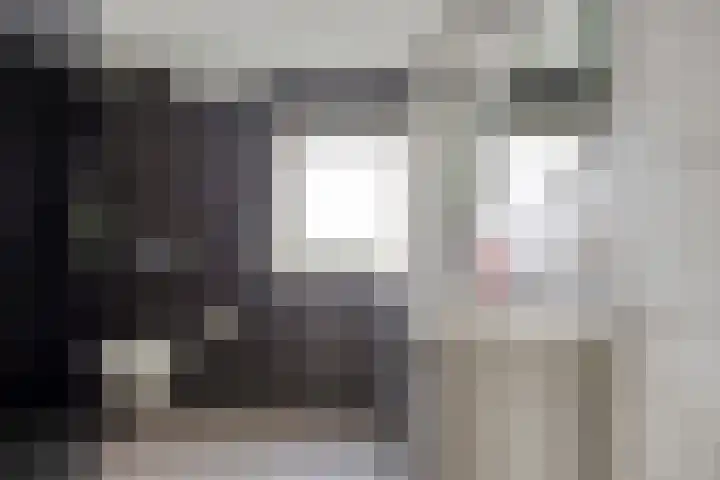 Steltlopen 24 Best thumbnail 4
