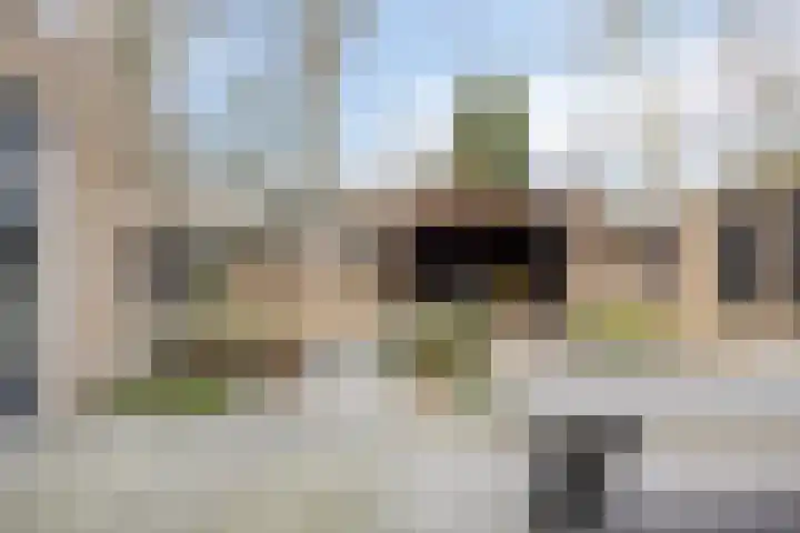 Steltlopen 24 Best thumbnail 5
