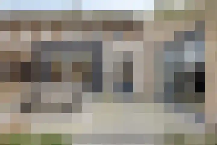 Steltlopen 24 Best thumbnail 50