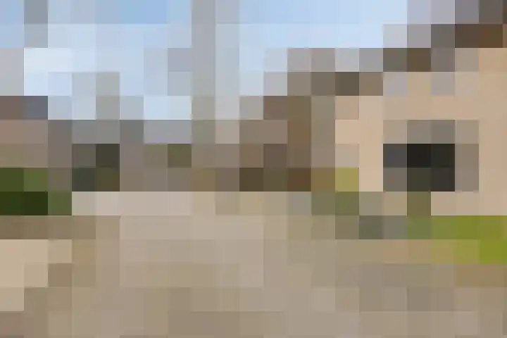 Steltlopen 24 Best thumbnail 7