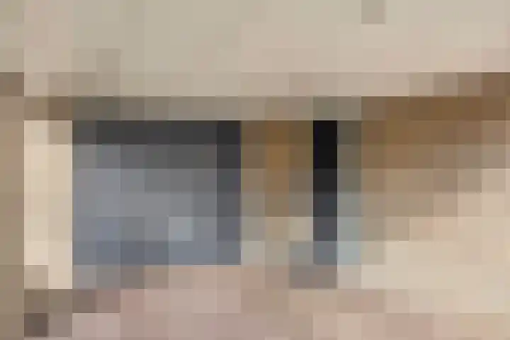 Steltlopen 24 Best thumbnail 8