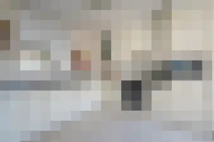 Steltloperstraat 25 Delft thumbnail 15
