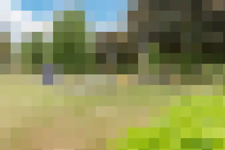 Stenenhoef 17 Ossendrecht thumbnail 30