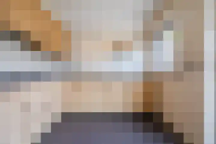 Stenenhoef 17 Ossendrecht thumbnail 9