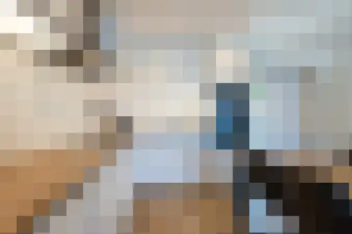Stenenhoef 20 Ossendrecht thumbnail 11