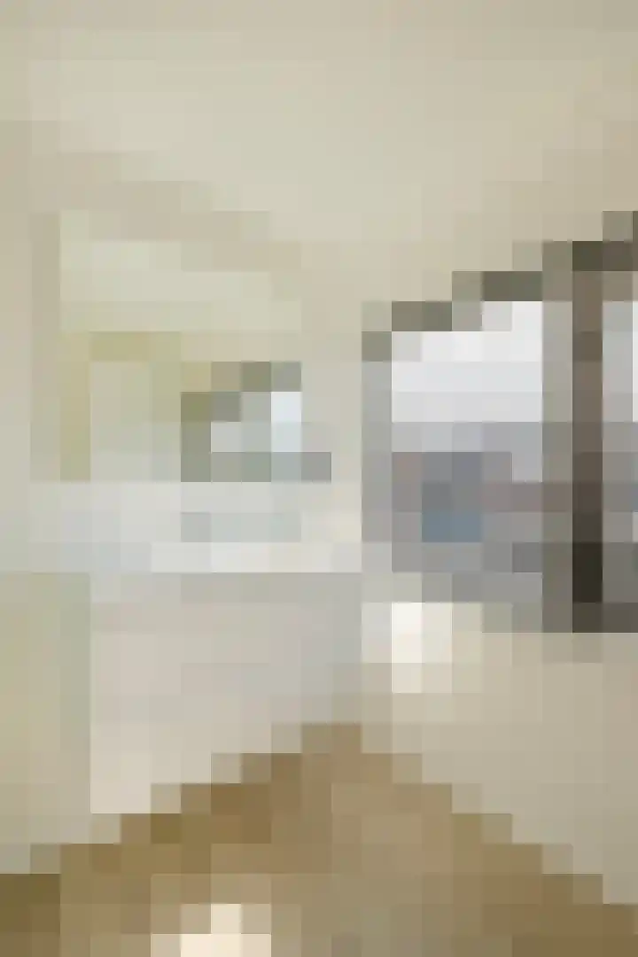Stenenhoef 20 Ossendrecht thumbnail 17