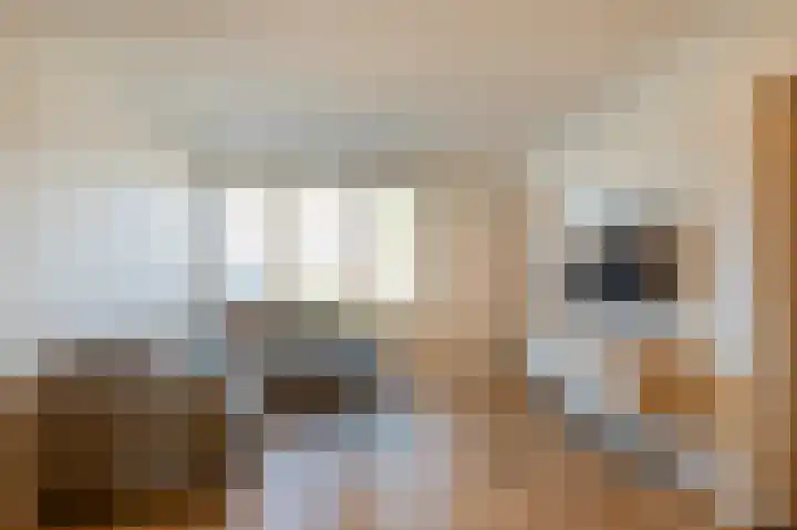 Stenenhoef 20 Ossendrecht thumbnail 5