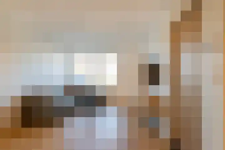 Stenenhoef 20 Ossendrecht thumbnail 7