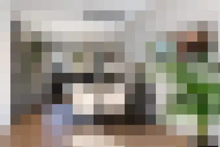 Steneveld 52 Ede thumbnail 10