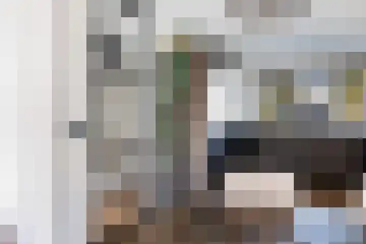 Steneveld 52 Ede thumbnail 16