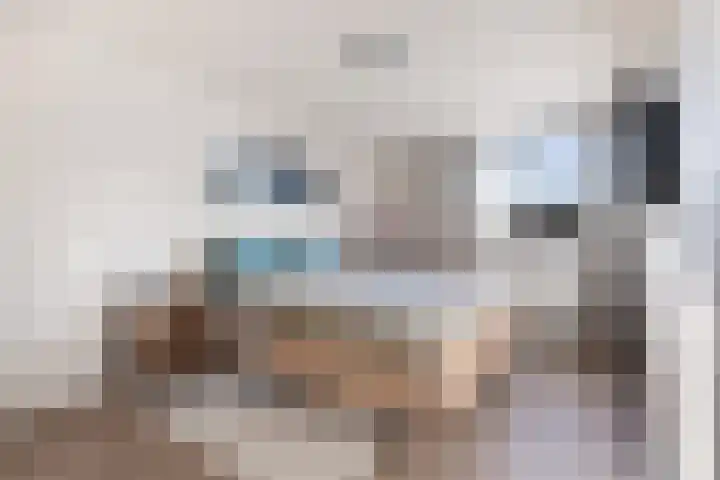 Steneveld 52 Ede thumbnail 20