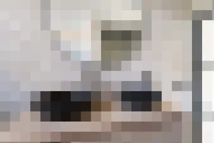 Steneveld 52 Ede thumbnail 27