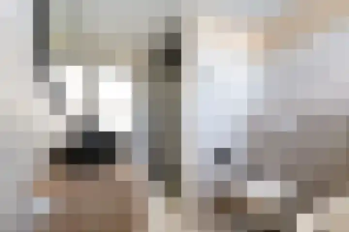 Steneveld 52 Ede thumbnail 28