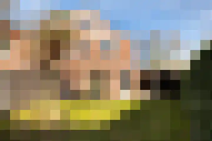 Steneveld 52 Ede thumbnail 34