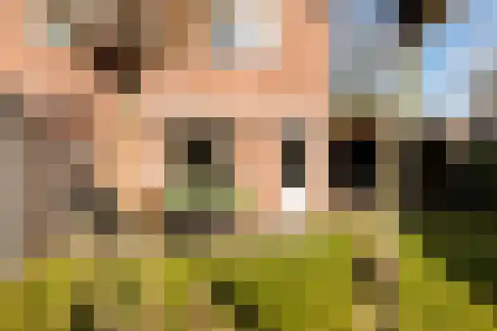 Steneveld 52 Ede thumbnail 35