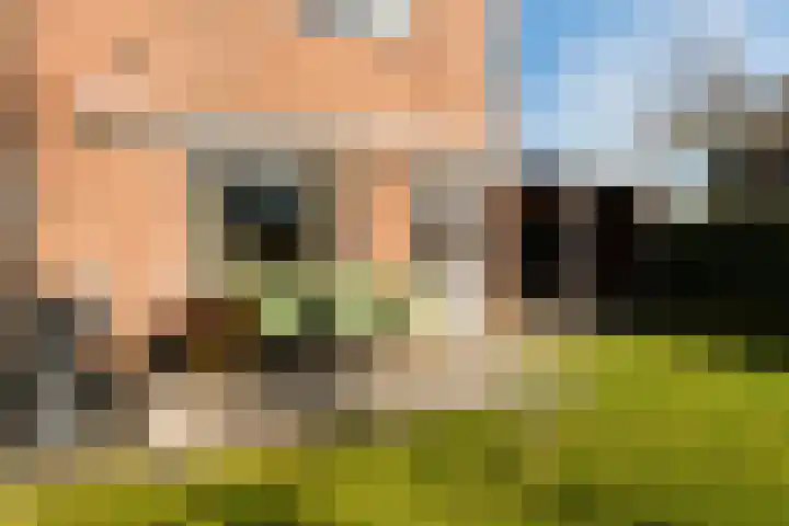 Steneveld 52 Ede thumbnail 36