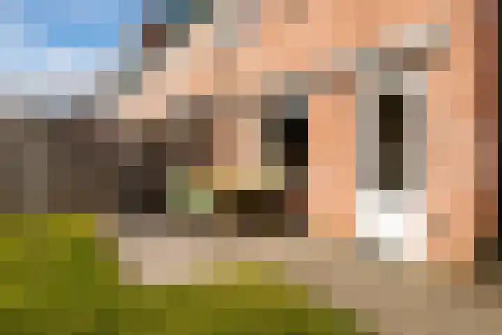 Steneveld 52 Ede thumbnail 37