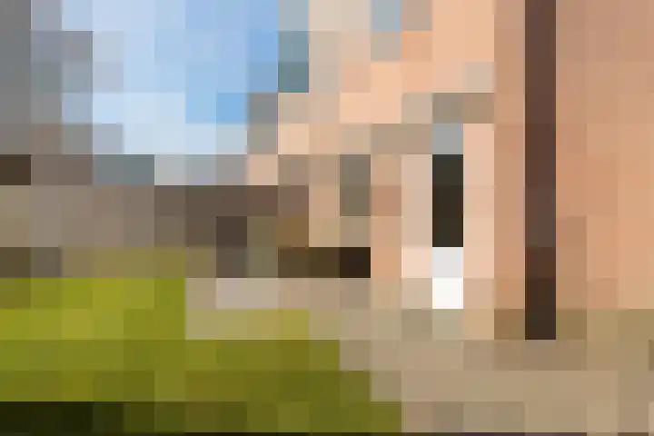 Steneveld 52 Ede thumbnail 38
