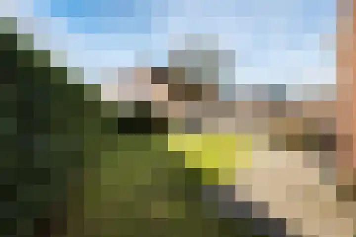 Steneveld 52 Ede thumbnail 39