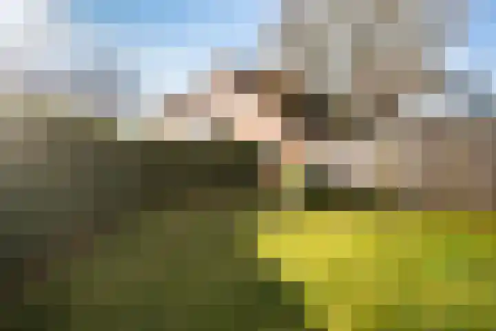 Steneveld 52 Ede thumbnail 40