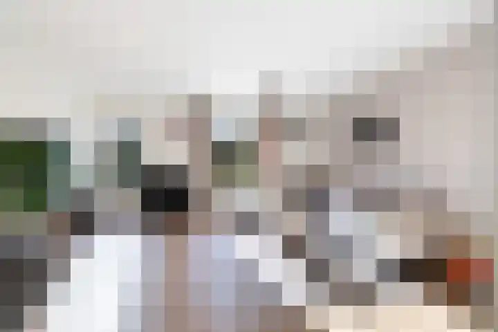 Steneveld 52 Ede thumbnail 5