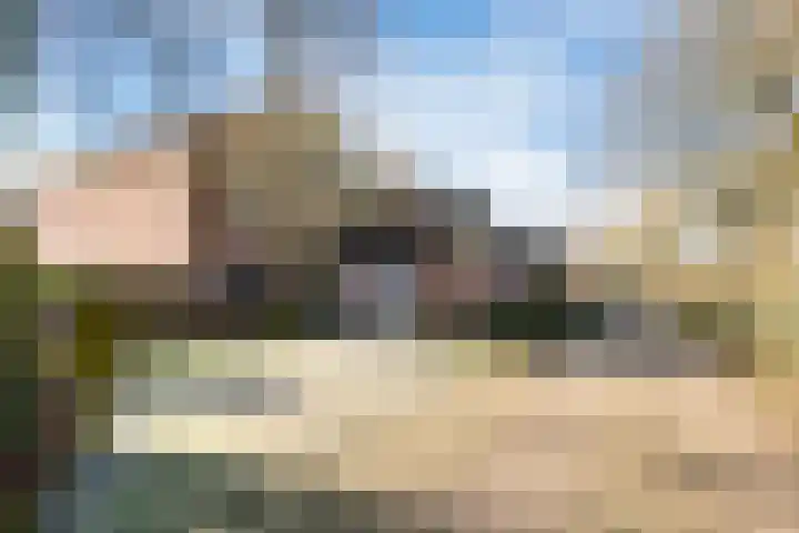 Steneveld 52 Ede thumbnail 50