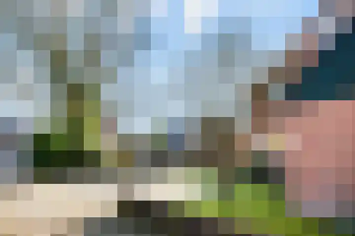 Steneveld 52 Ede thumbnail 54