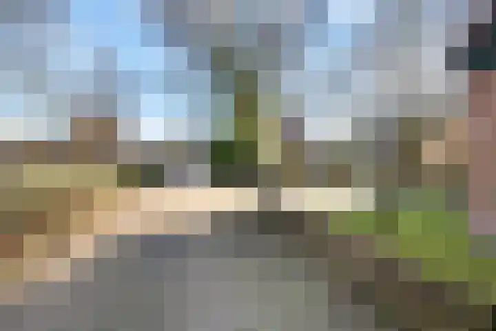 Steneveld 52 Ede thumbnail 55