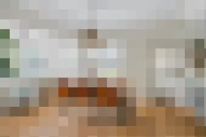 Steneweg 81 Middelharnis thumbnail 10
