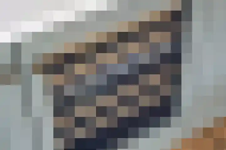Steneweg 81 Middelharnis thumbnail 16