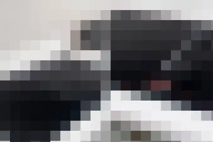 Steneweg 81 Middelharnis thumbnail 17