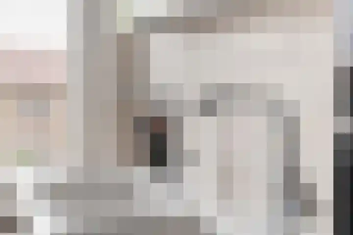 Steneweg 81 Middelharnis thumbnail 36