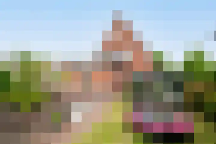 Steneweg 81 Middelharnis thumbnail 42