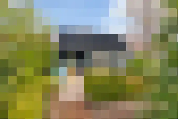 Steneweg 81 Middelharnis thumbnail 43