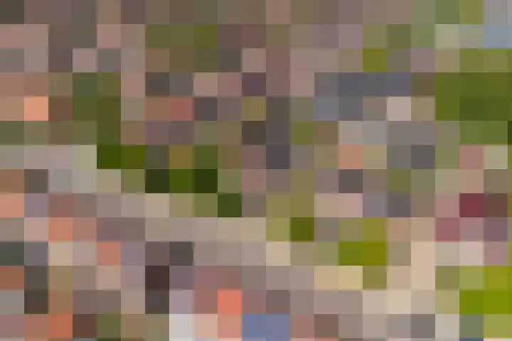 Steneweg 81 Middelharnis thumbnail 47