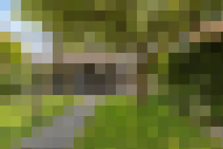 Steneweg 86 Middelharnis thumbnail 30